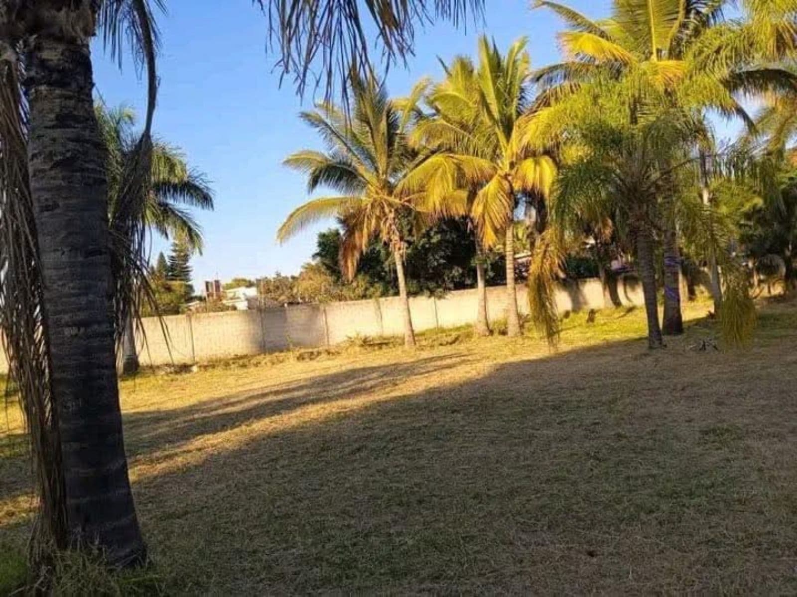 Terreno - Morelos - 1