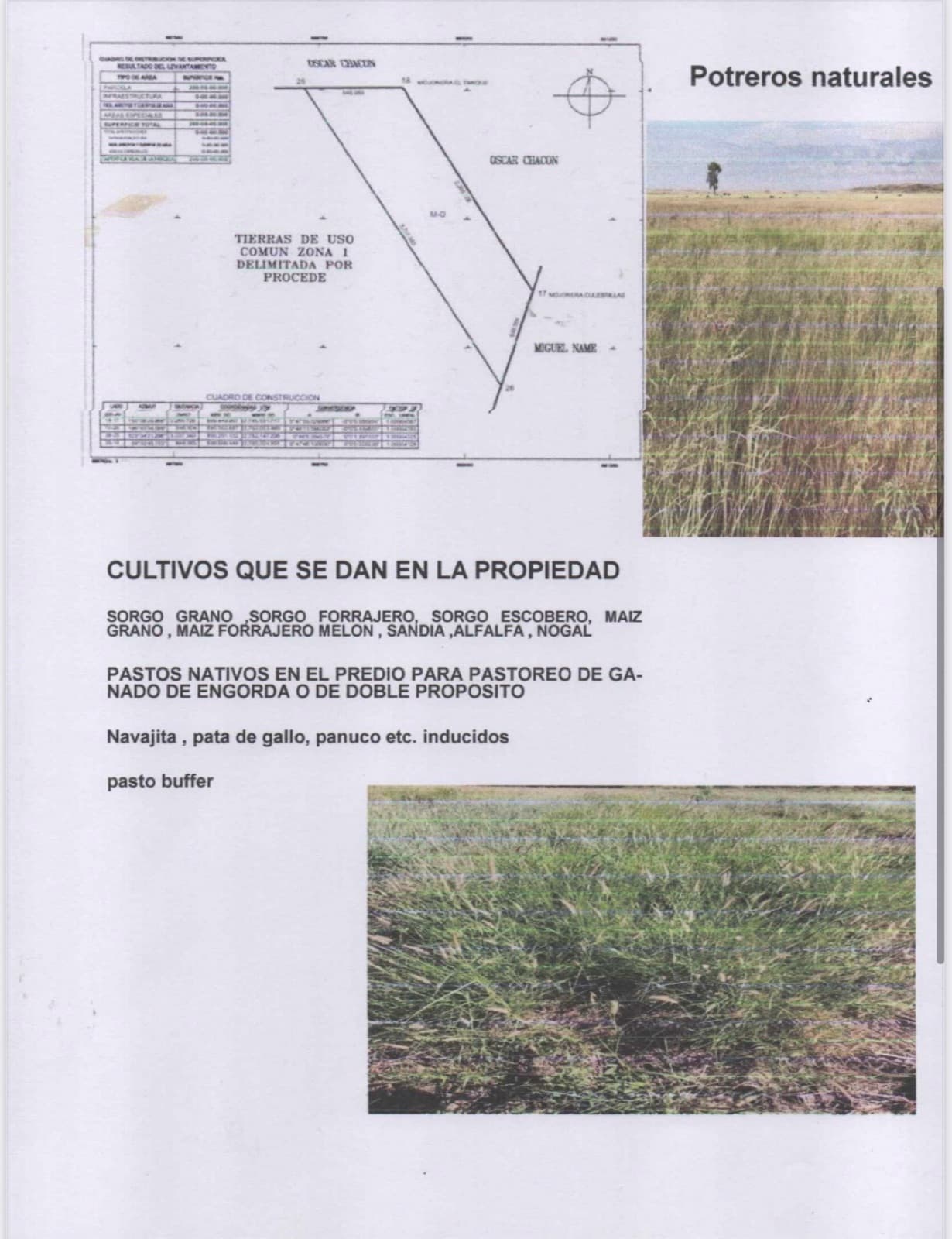 Terreno - Ejido Pozo de Calvo - 1