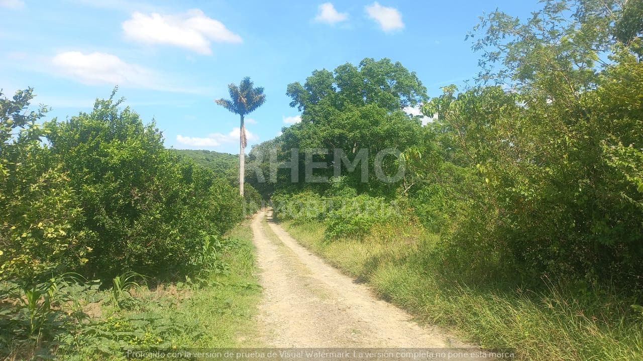Terreno En Venta 8 hectáreas en Lázaro Cárdenas, Tihuatlán, Ver. - 1