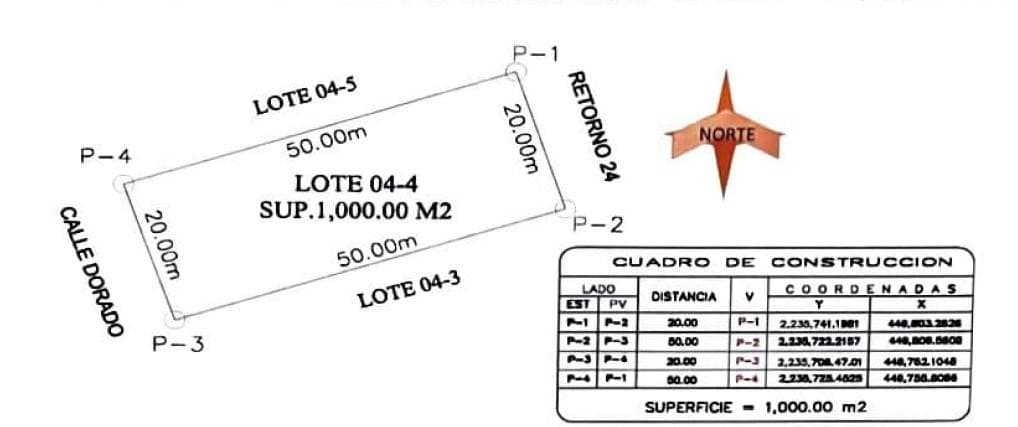 Lote de 1000 M2, H4 de densidad, en Reg 11, Tulum - 1