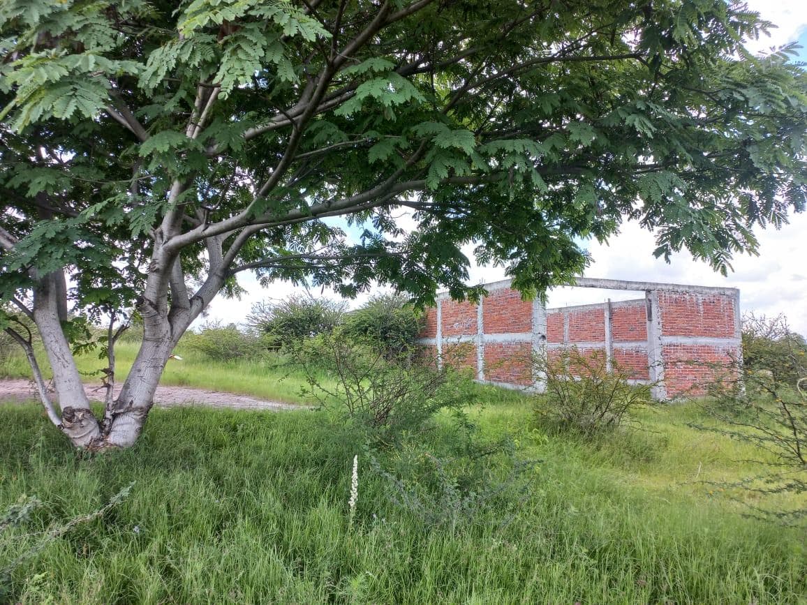 Terreno en venta - 1