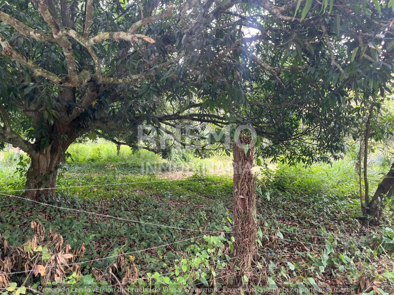 Terreno en Venta camino a Juana Moza, Tuxpan, Ver. - 1