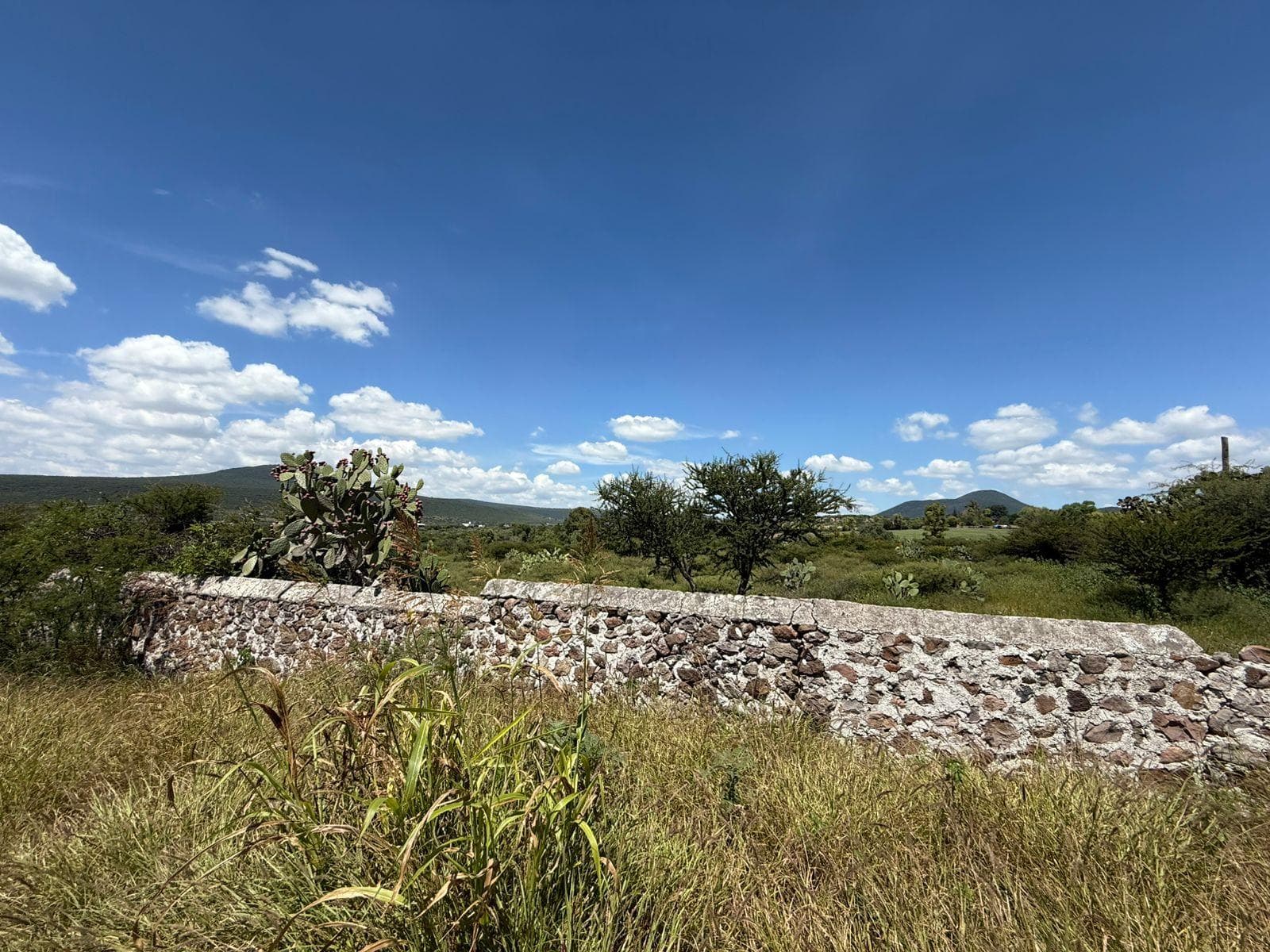Terreno en Rancho o rancheria Apapataro - 1