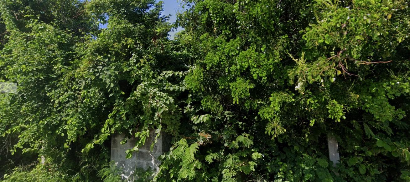 Oportunidad - Terreno en Isla Mujeres - 1