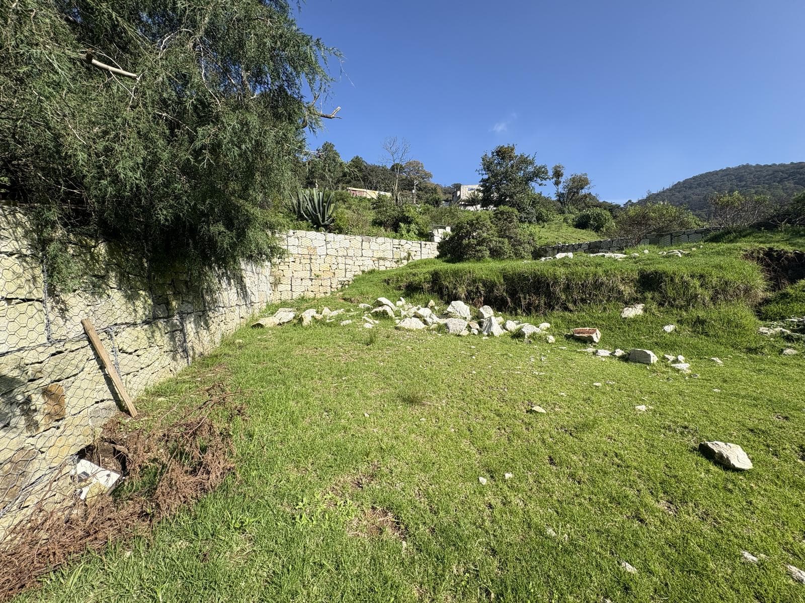 Terreno en Fraccionamiento Bosques de San Cayetano - 1