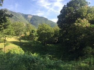 TERRENO CAMPESTRE EN VENTA COLA DE CABALLO - 1