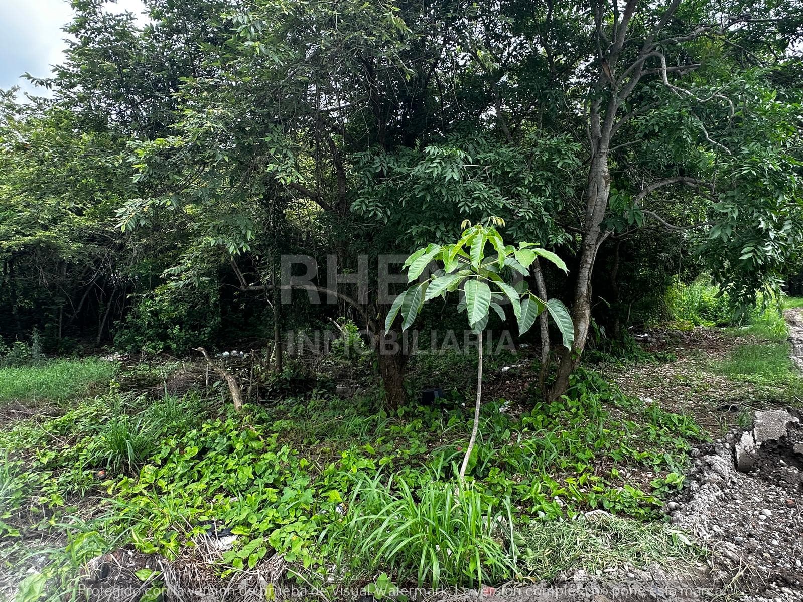 Terreno en Venta en Col. Veracruz, Poza Rica, Ver. - 1