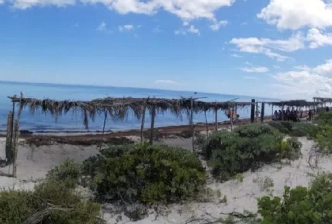 TERRENO EN VENTA FRENTE AL MAR DE SAN CRISANTO, YUCATÁN. - 1