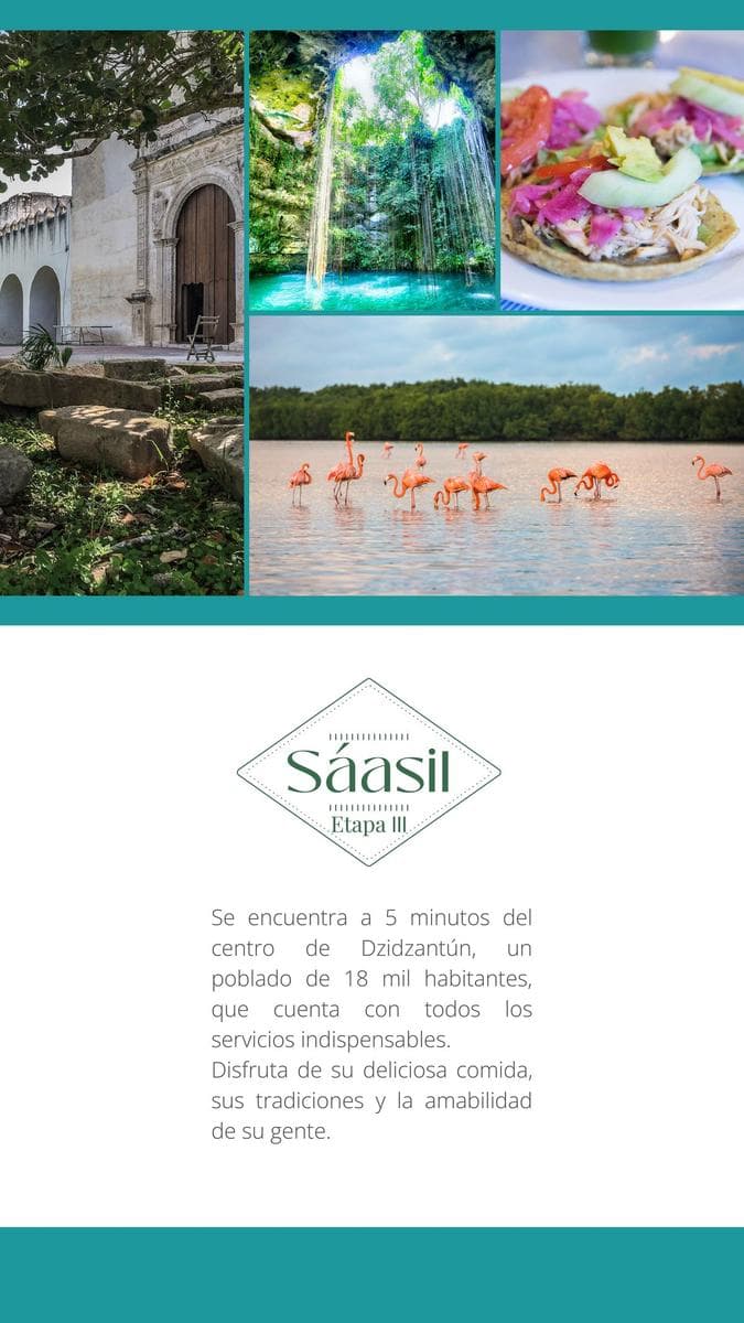 LOTES EN VENTA SAASIL ETAPA III SEMI URBANIZADOS, DZIDZANTUN. - 1