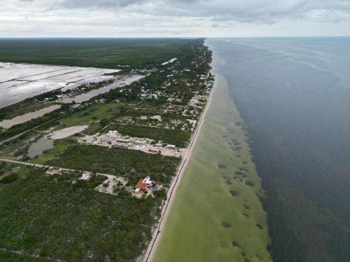 EXCLUSIVO TERRENO EN VENTA FRENTE AL MAR EN LA COSTA DE SAN CRISANTO. - 1