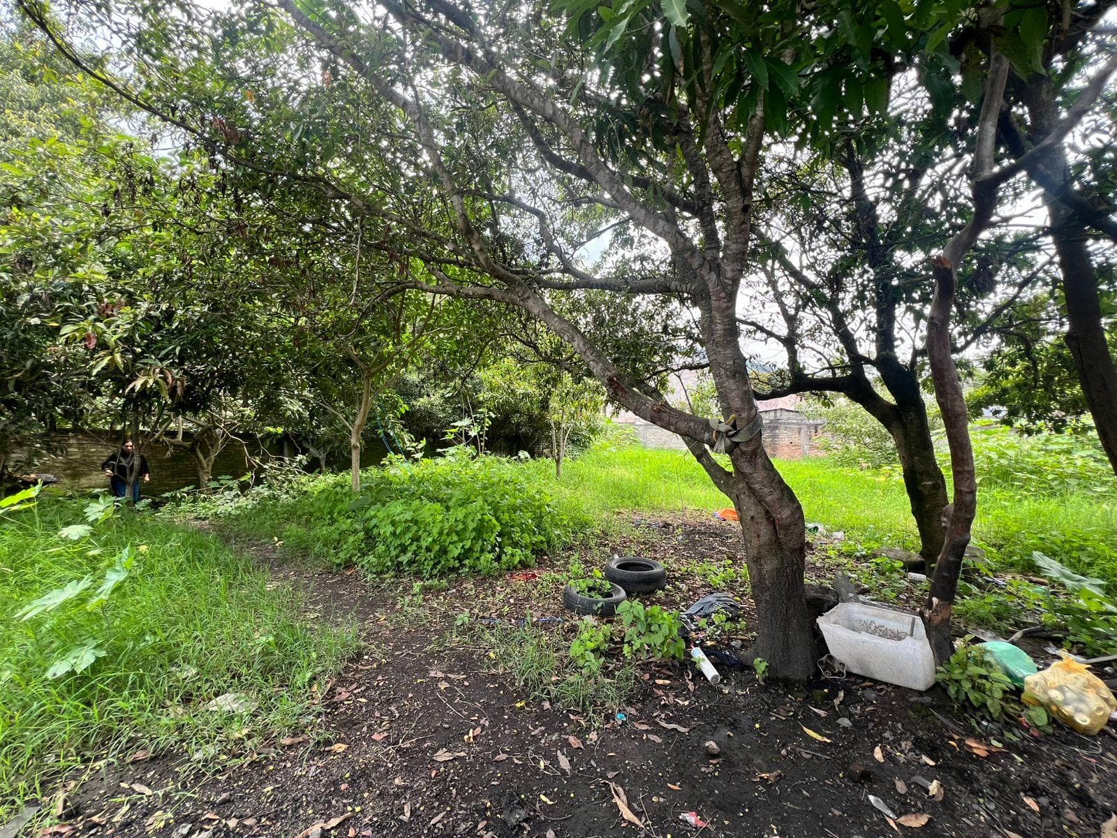 Terreno en Venta - 1