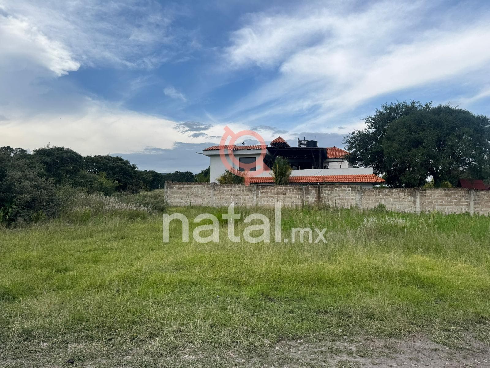 TERRENO HARAS BOSQUE CRUZ SABINOS PUEBLA VENTA - 1