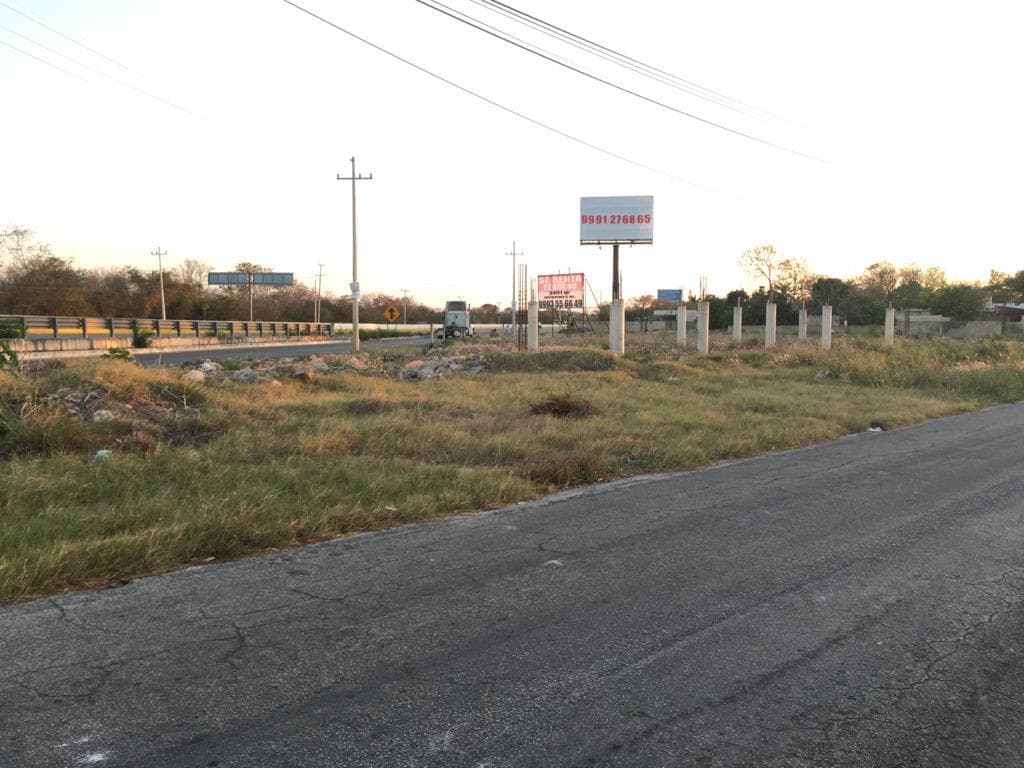 Terreno en Renta sobre carretera Mérida - Cholul ideal para Inversionistas - 1