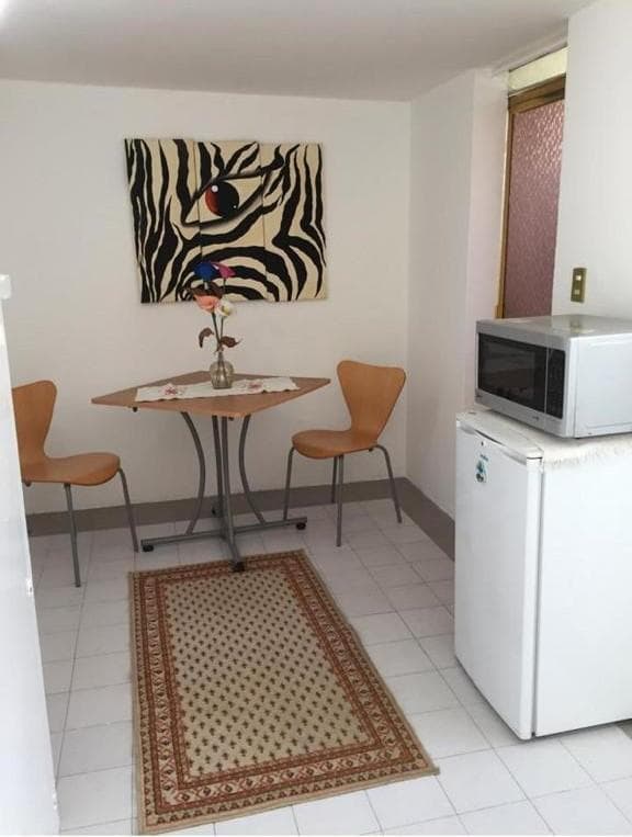 Departamento Amueblado en Renta en Toluca, 1 Recamaras - 1