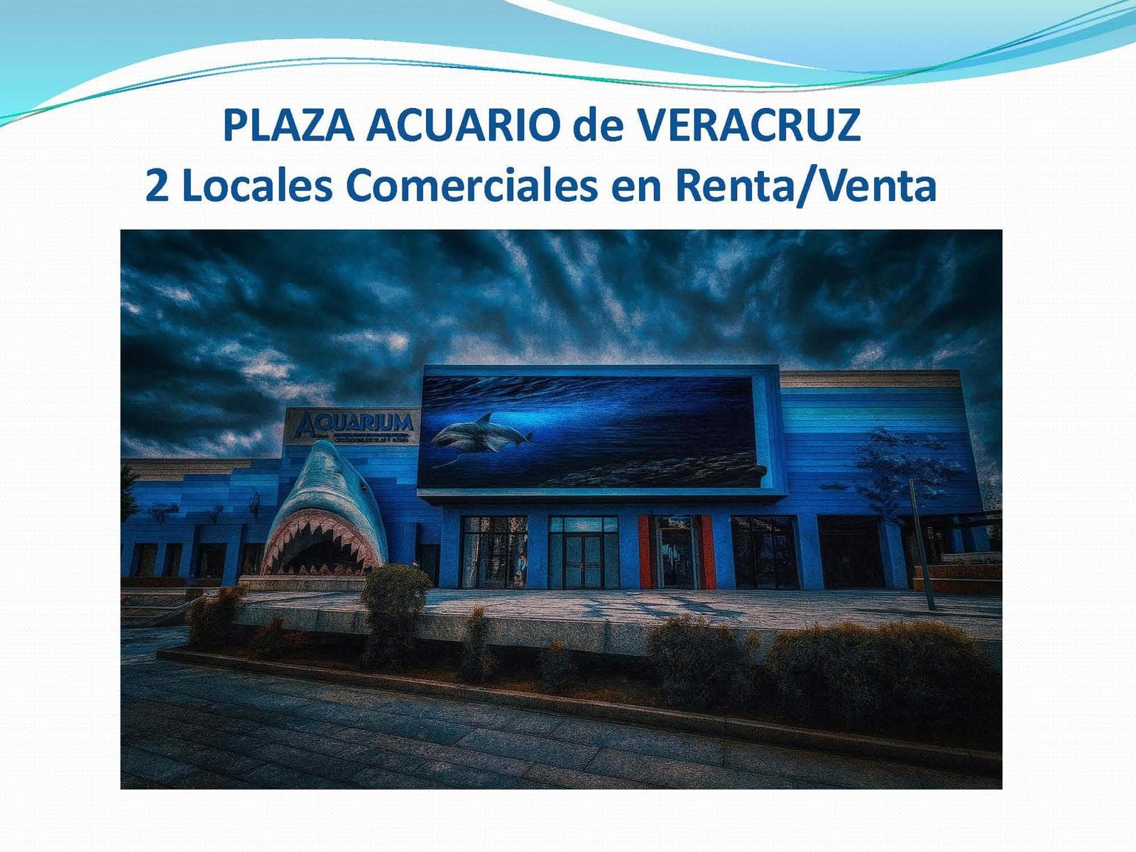 Local en venta y renta en el Acuario de Veracruz - 1