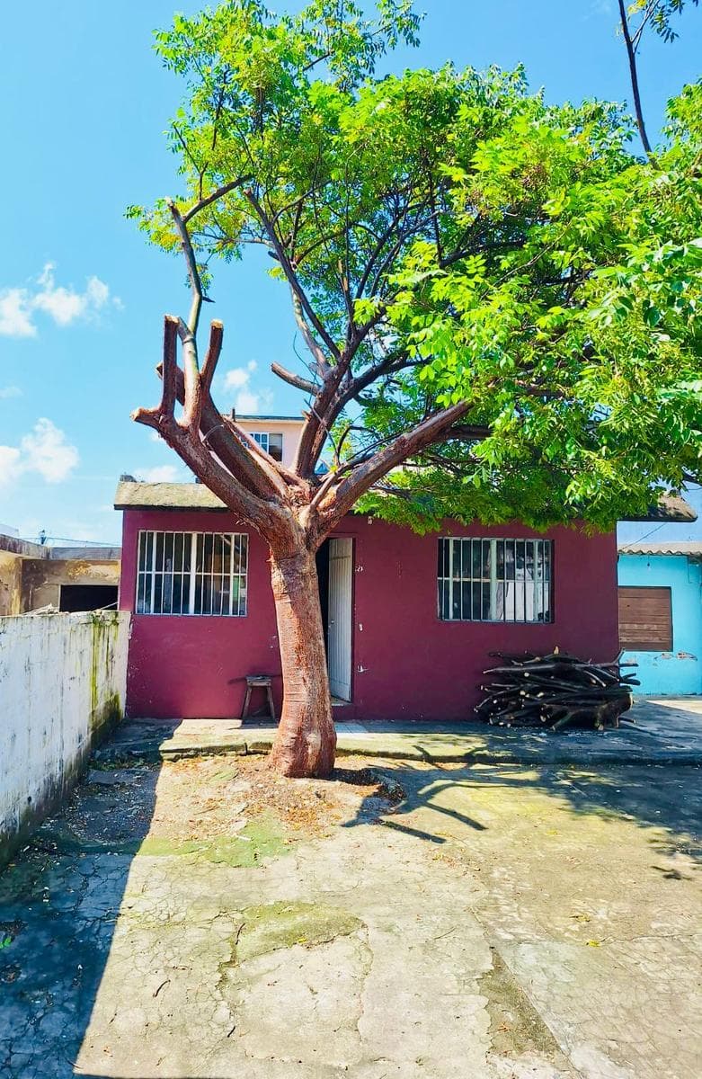 Terreno en venta con casa en Col. 1o de mayo Sur - 1