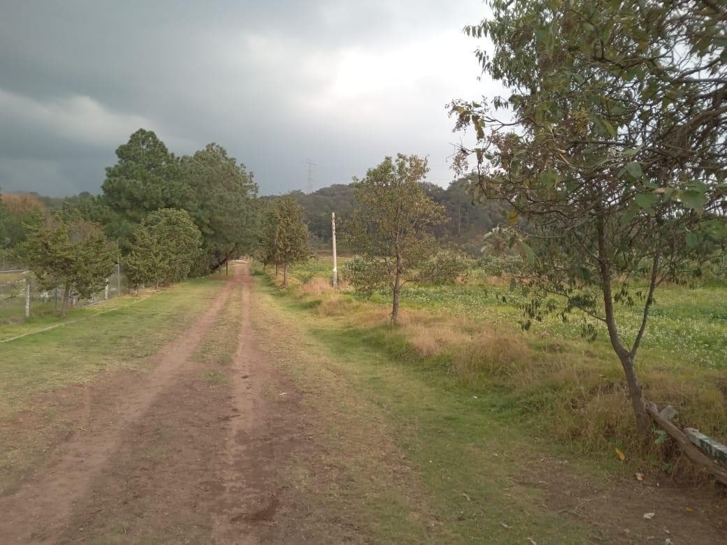 Terreno en Xochimilco Topilejo San Francisco Tlalnepantla - Venta - 1