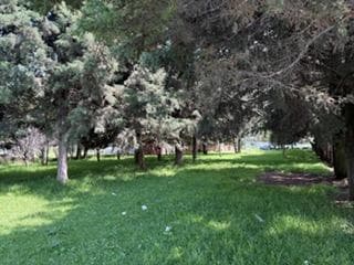 Terreno EN VENTA EN SAN PEDRO TOTOLTEPEC - 1