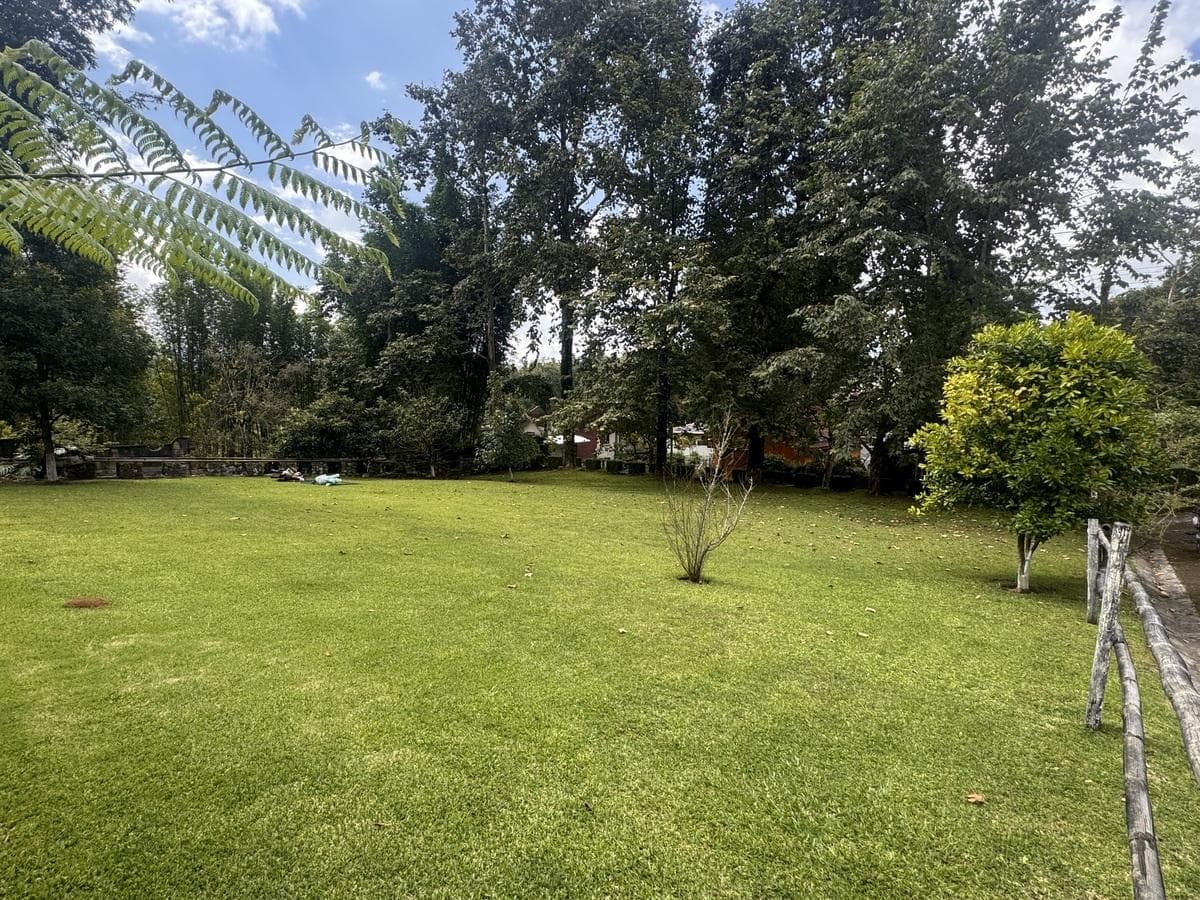 LOTE EN LLANO GRANDE, XICOTEPEC - 1