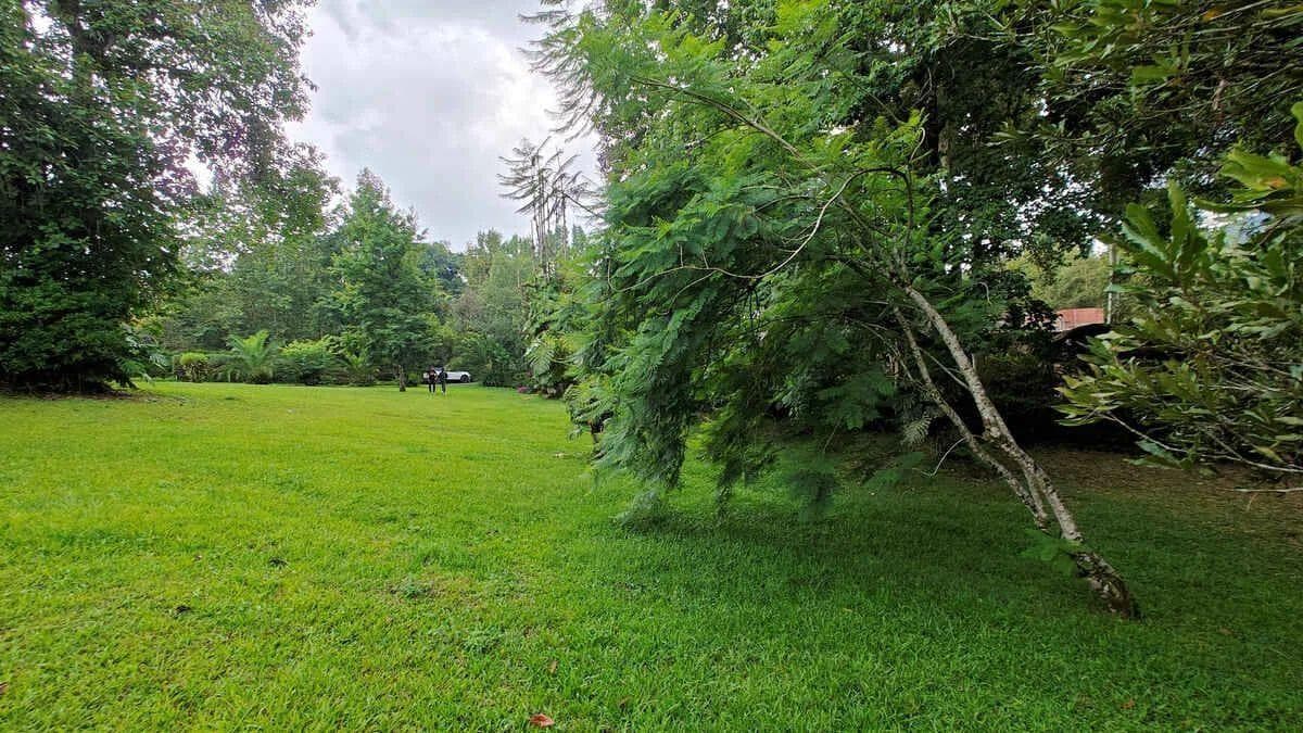LOTE EN VENTA EN LLANO GRANDE, XICOTEPEC - 1