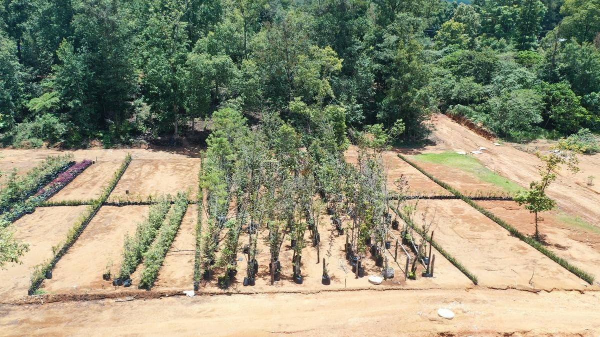 LOTE EN PASEOS DE SANTA FE, SAN ISIDRO, XICOTEPEC - 1