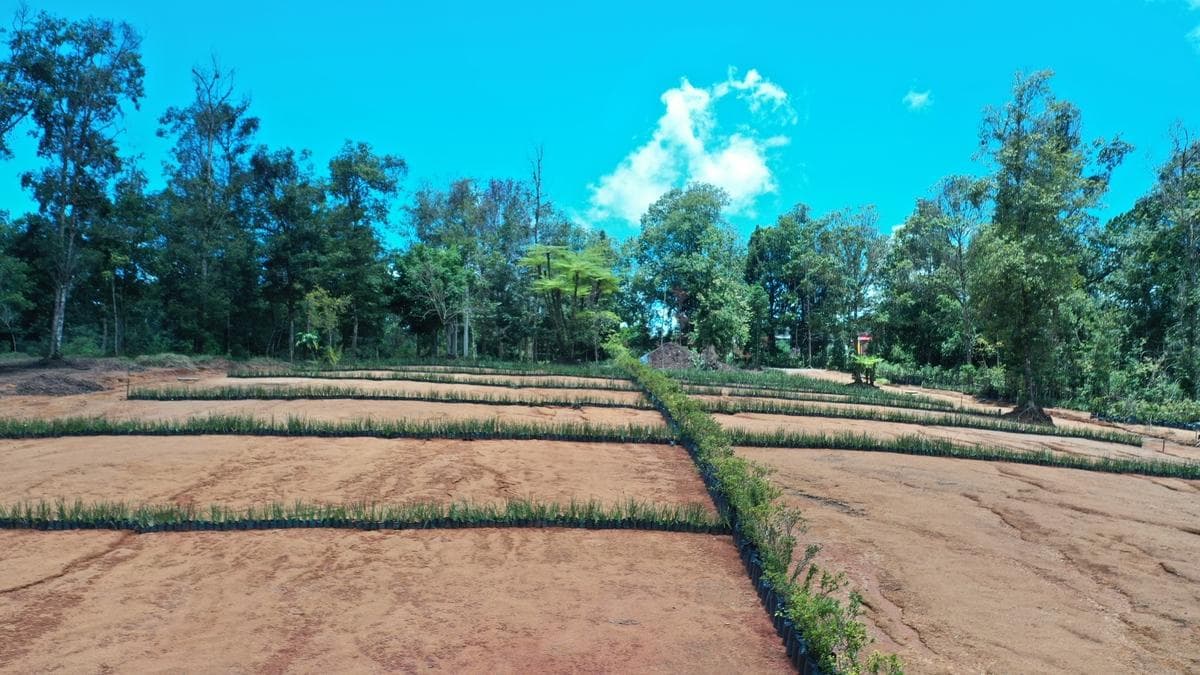 LOTES EN PASEOS DE SANTA FE, SAN ISIDRO, XICOTEPEC - 1
