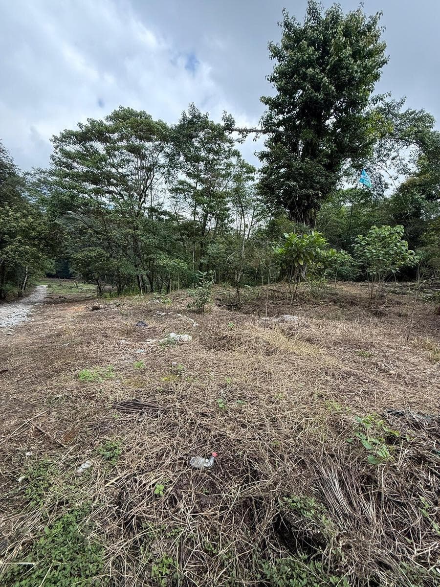 TERRENO EN VENTA EN SAN ISIDRO, XICOTEPEC - 1