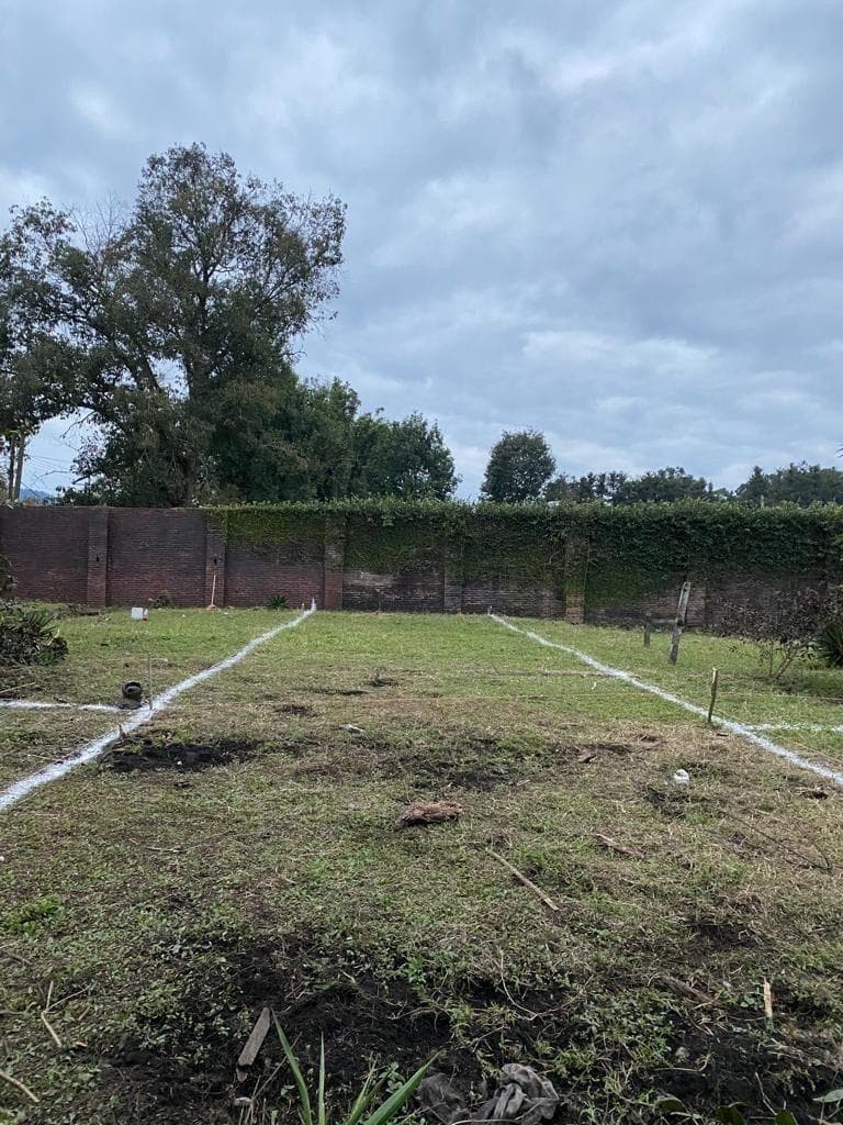 TERRENO EN VENTA EN MI RANCHITO, XICOTEPEC - 1