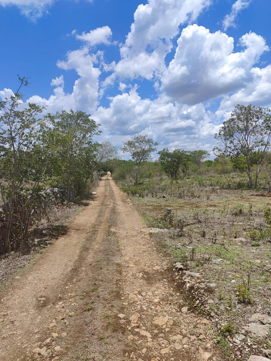 Terreno en Izamal - 1