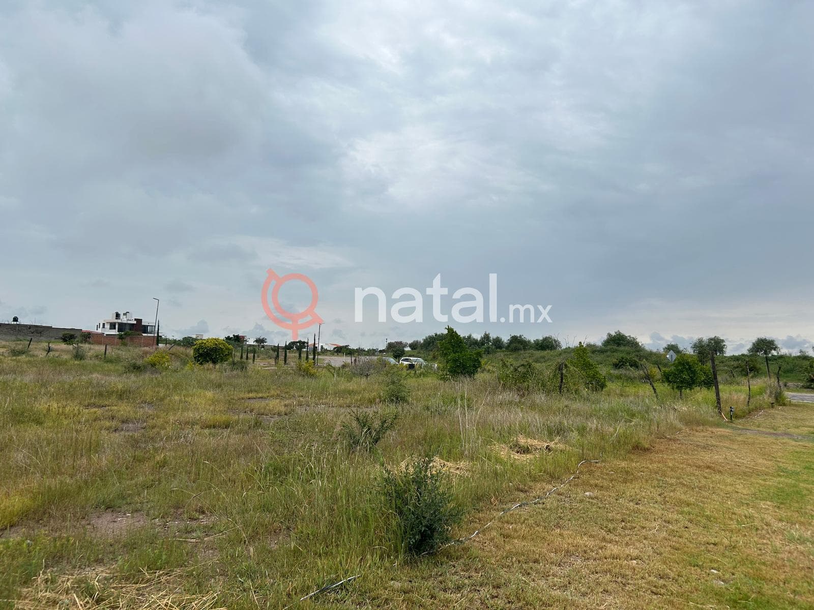 TERRENO PUERTA LUNA LAGOS DE MORENO VENTA - 1