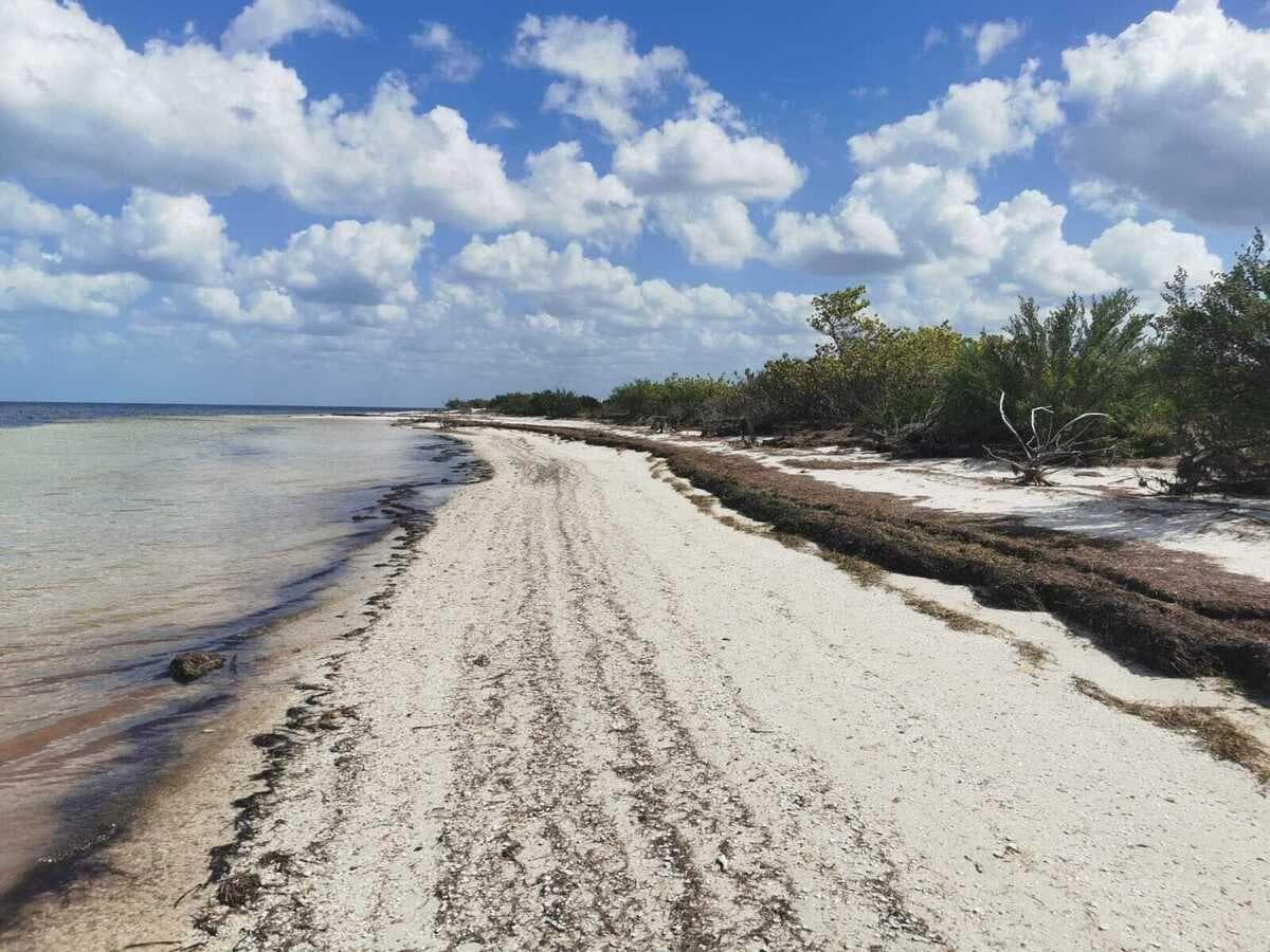 VENTA TERRENO EN DZILAM DE BRAVO, YUCATAN - 1