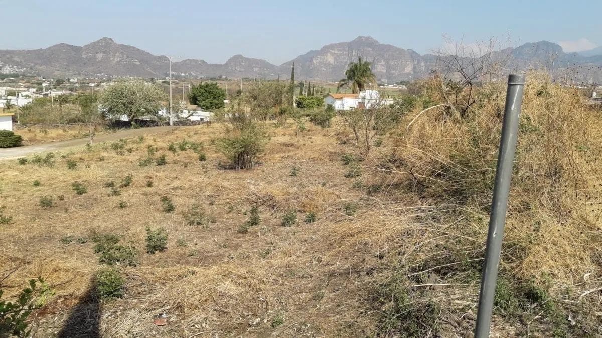 TERRENO EN VENTA EN FRACCIONAMIENTO PRIVADO EN TLAYACAPAN, MORELOS - 1