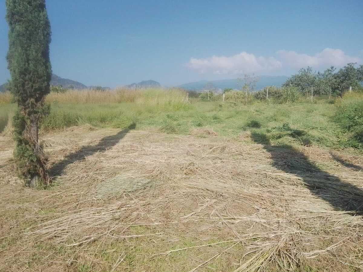 VENTA TERRENO EN FRACCIONAMIENTO PRIVADO EN TLAYACAPAN, MOR. - 1