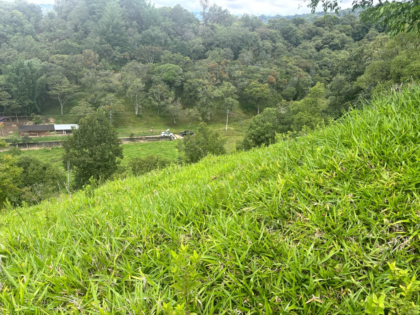 Terreno - Coatepec - 1