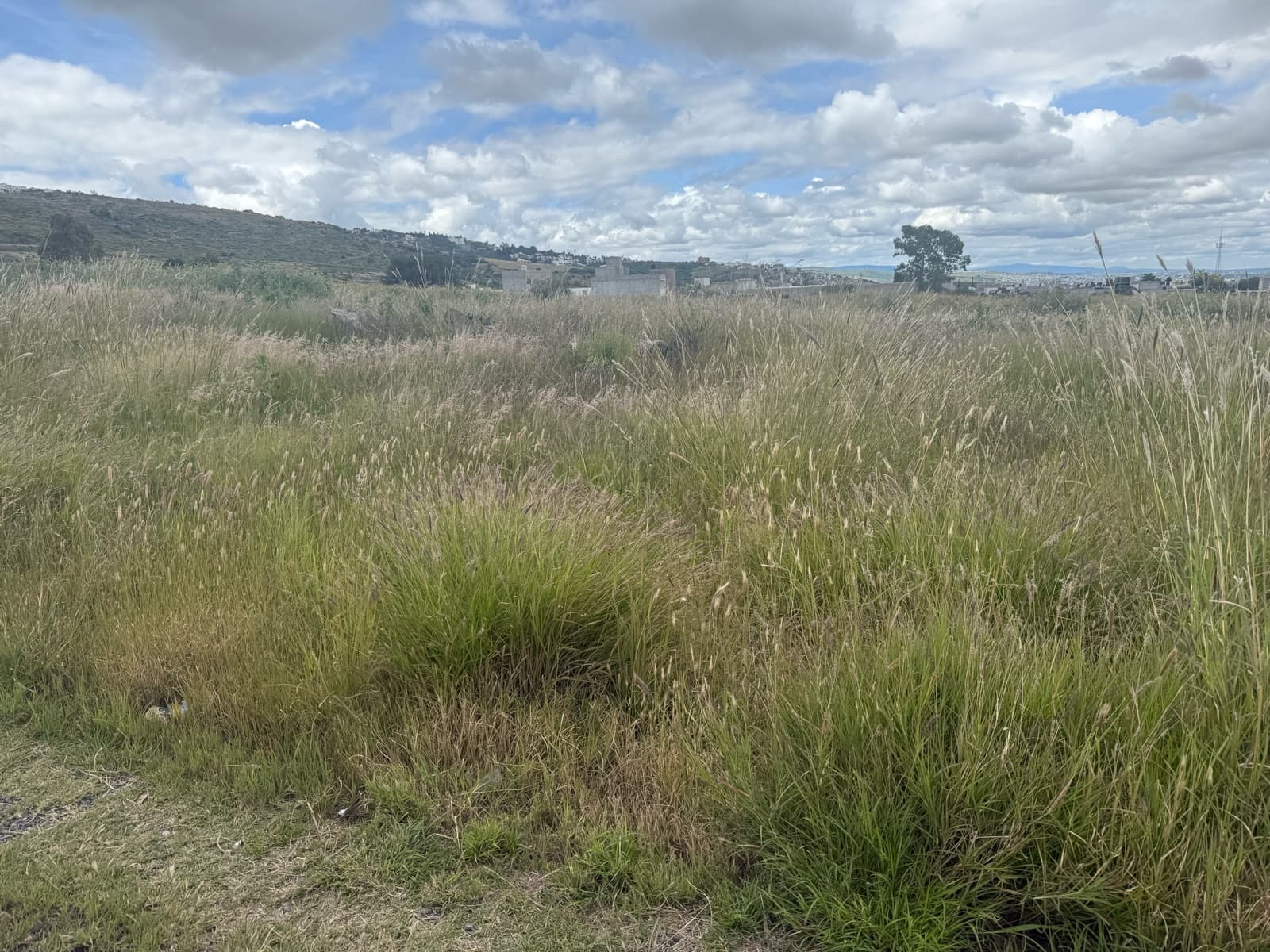 VENTA TERRENO QUERETARO CON USO HABITACIONAL COMERCIAL Y DE SERVICIOS PASEO LOS VENADOS - 1