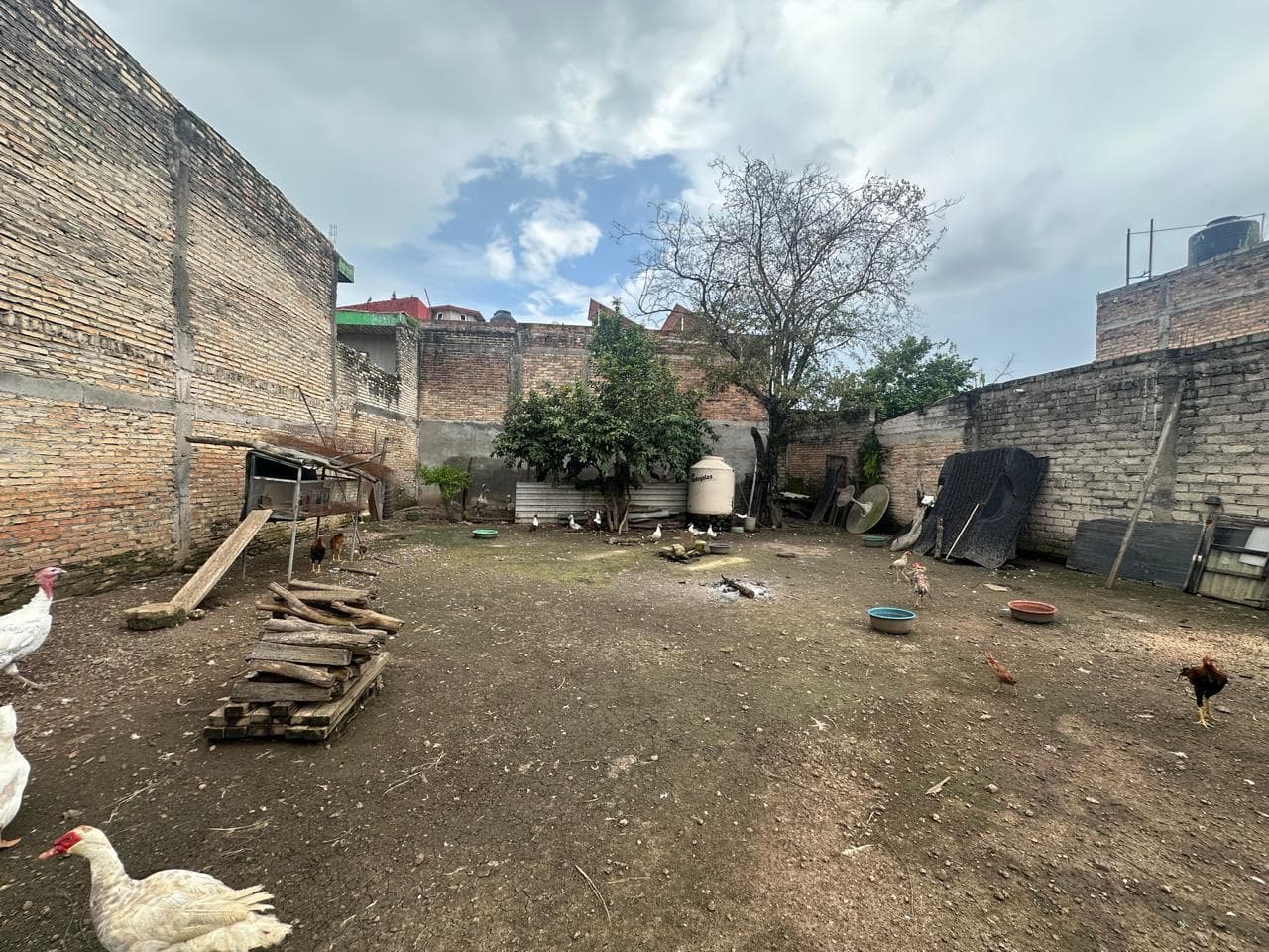 Terreno Venta - 1