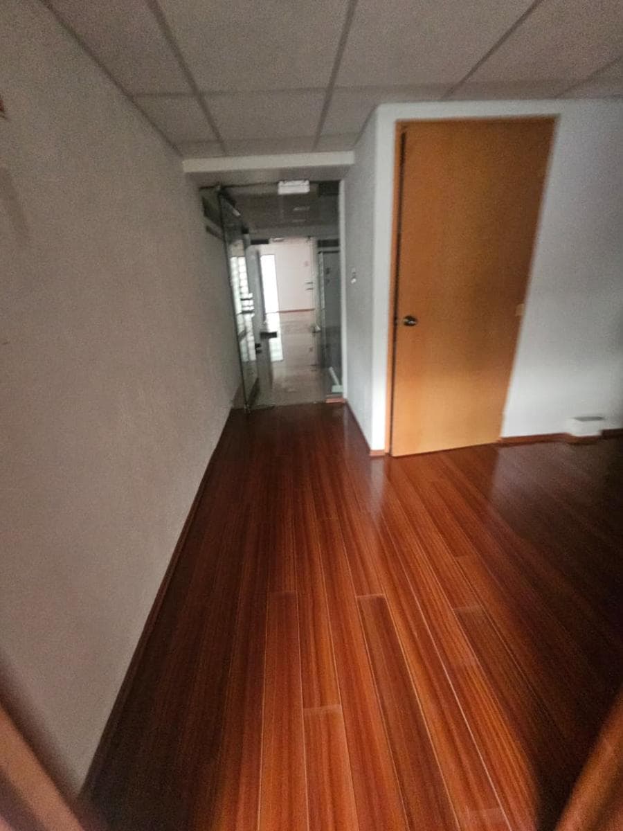 Oficina en renta en Bosques de Ciruelos - 1