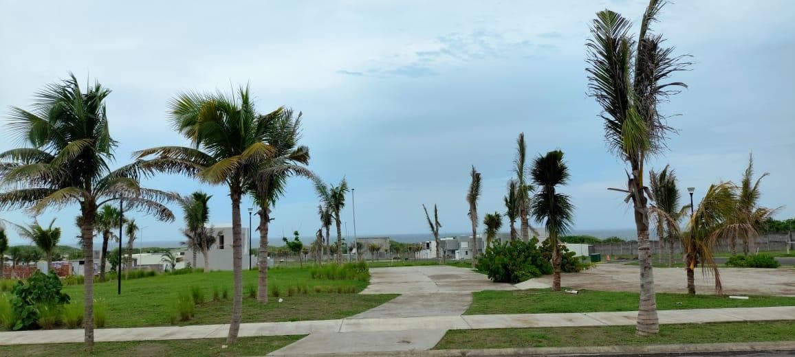 Terreno en Venta Lomas del Mediterráneo, Alvarado, Ver - 1