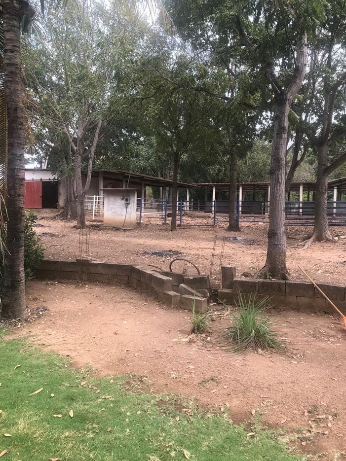 Rancho EN VENTA Ganadero y para sembrar maíz y sorgo - 1