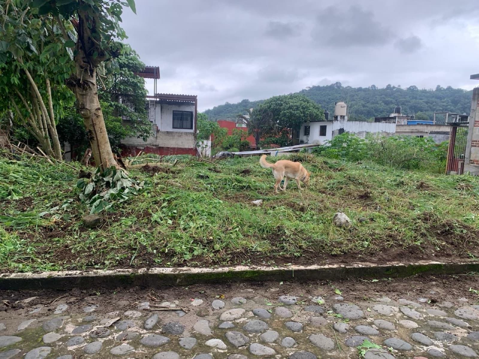 Terreno - Los Carriles - 1
