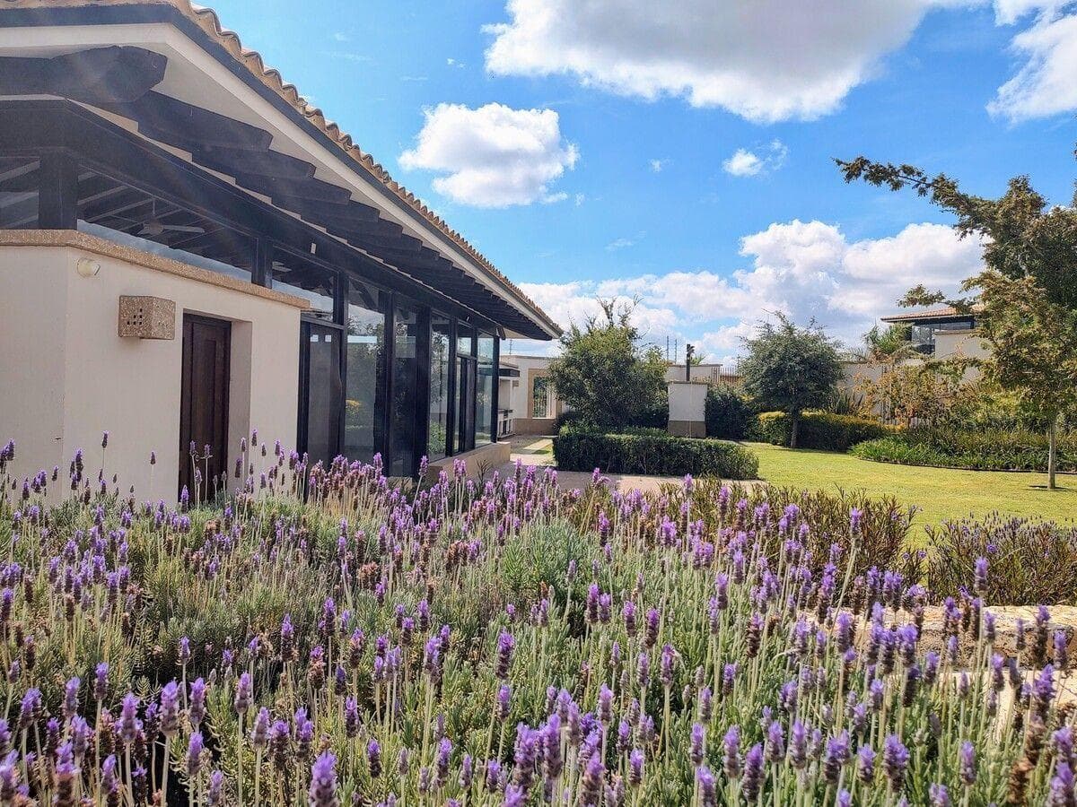 CASA EN VENTA EN EL MAYORAZGO QUERÉTARO - 1