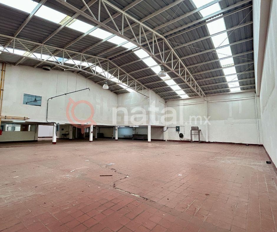 BODEGA CIUDAD INDUSTRIAL LEÓN RENTA - 1