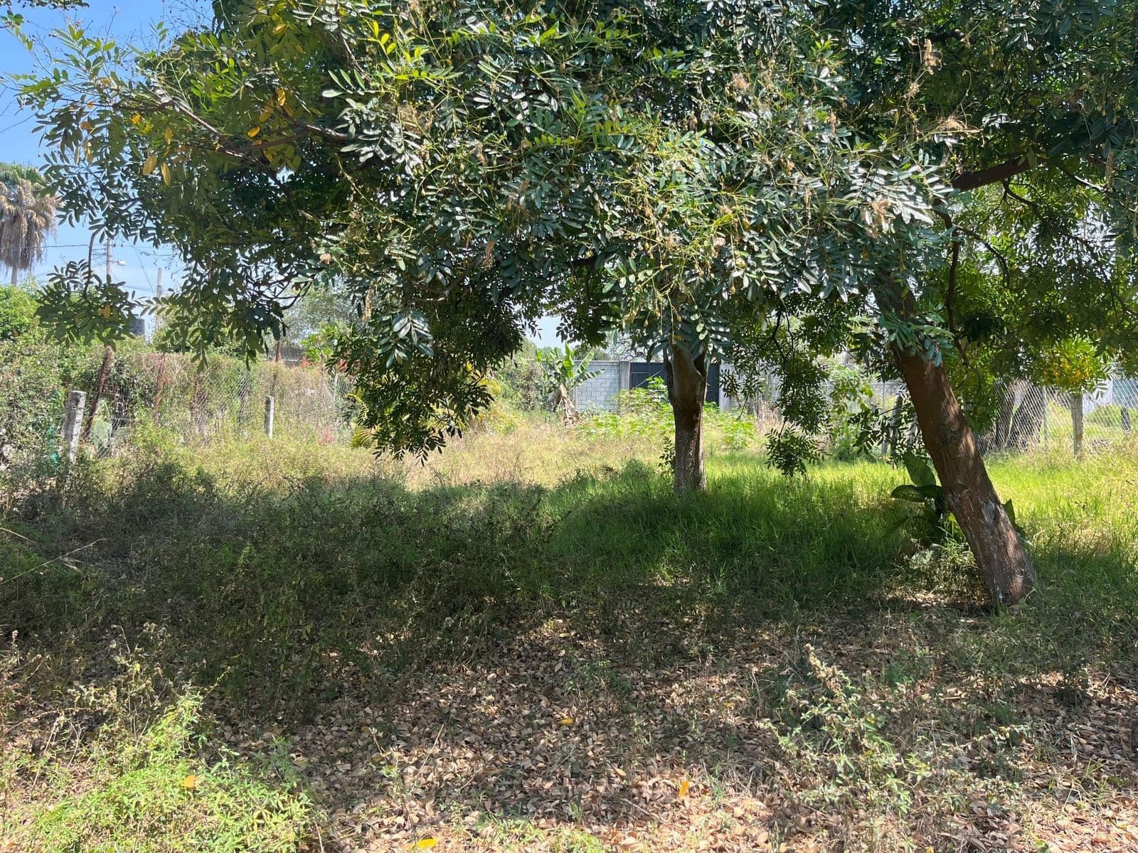 Terraza - Pueblo Oacalco - 1