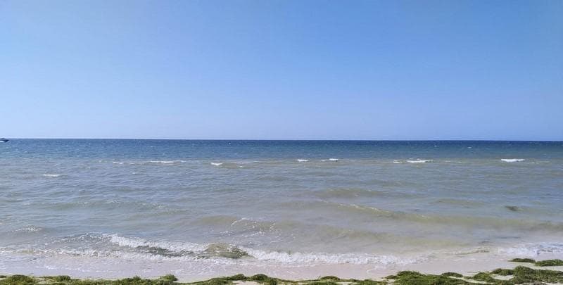 EXCELENTE TERRENO EN VENTA 2A FILA CHABIHAU PLAYA (AVT-1284) - 1