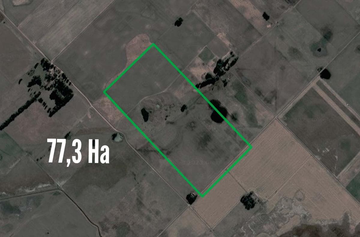 Campo en venta - 77,3Ha - Urdampilleta, Bolivar - 1