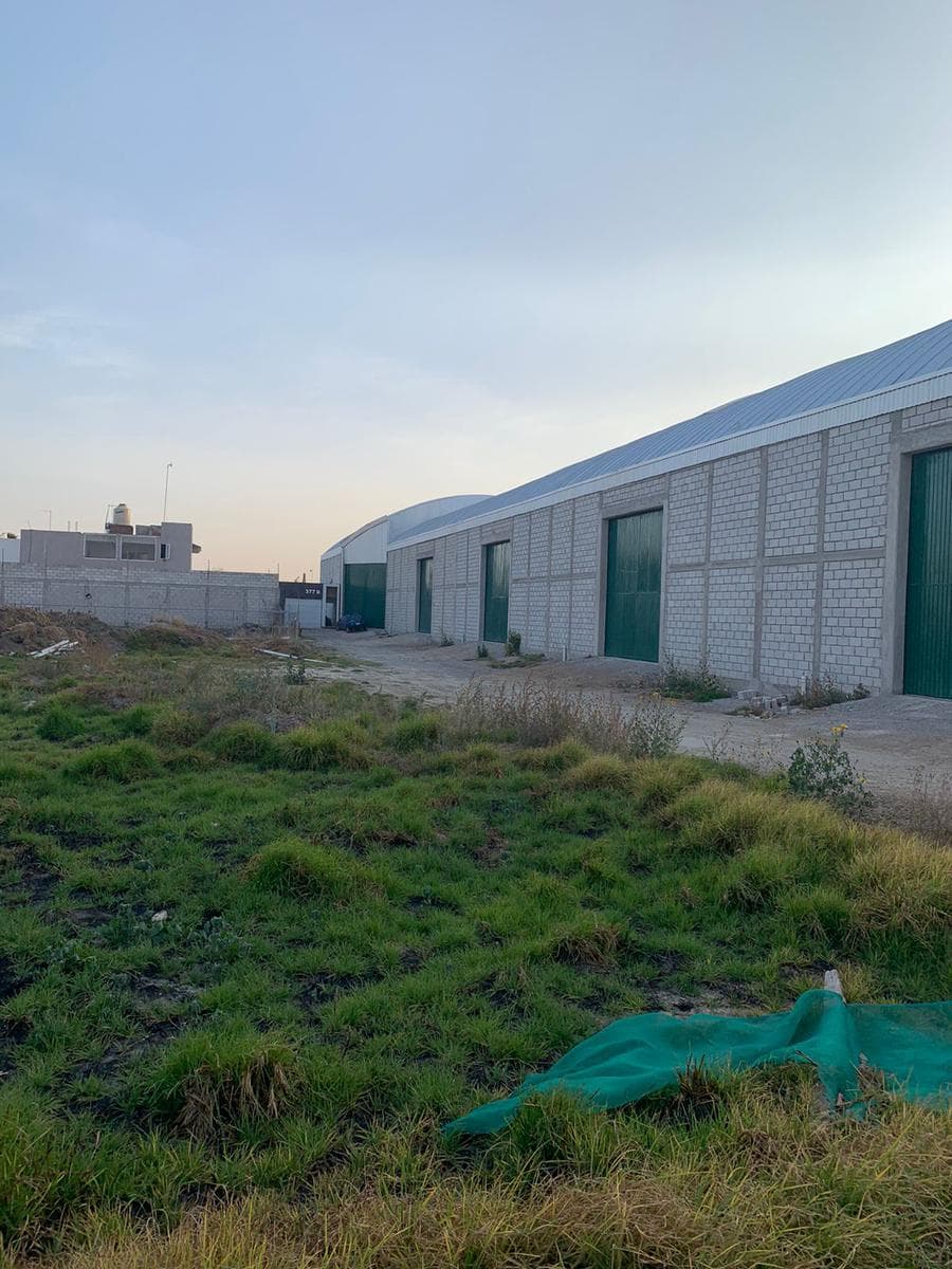 Bodega en Chipilo, Puebla - 1