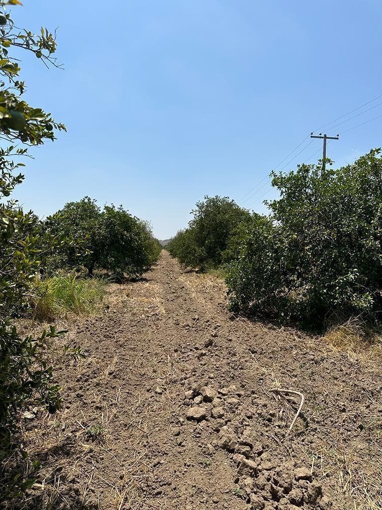 Terreno en Venta con uso de suelo Comercial / Habitacional en Linares. N.L - 1