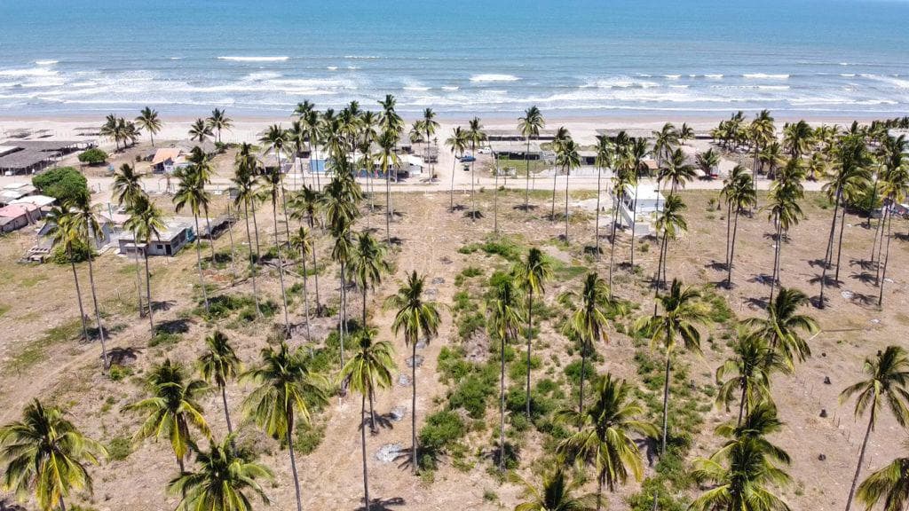 TERRENO EN VENTA EN PLAYA NOVILLERO, TECUALA, NAYARIT - 1