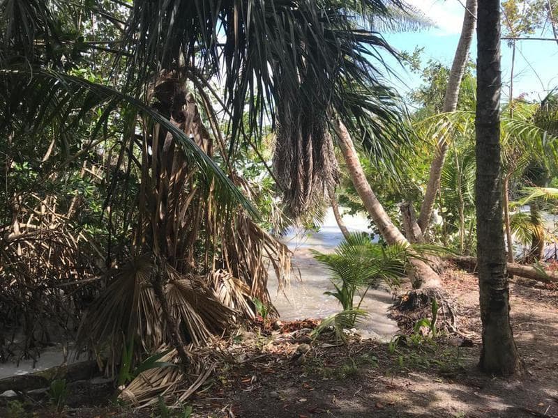 TERRENO A LA ORILLA DEL MAR, A UNOS MINUTOS DE CHETUMAL - 1