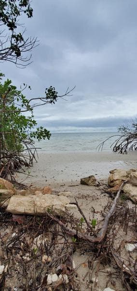 OPORTUNIDAD UNICA CALDERITA/CHET TIERRA VENTA FRENTE AL MAR EN PUNTA LAGARTO - 1